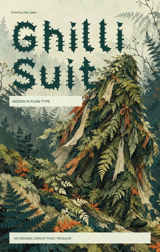 Hidden in plain type zine cover