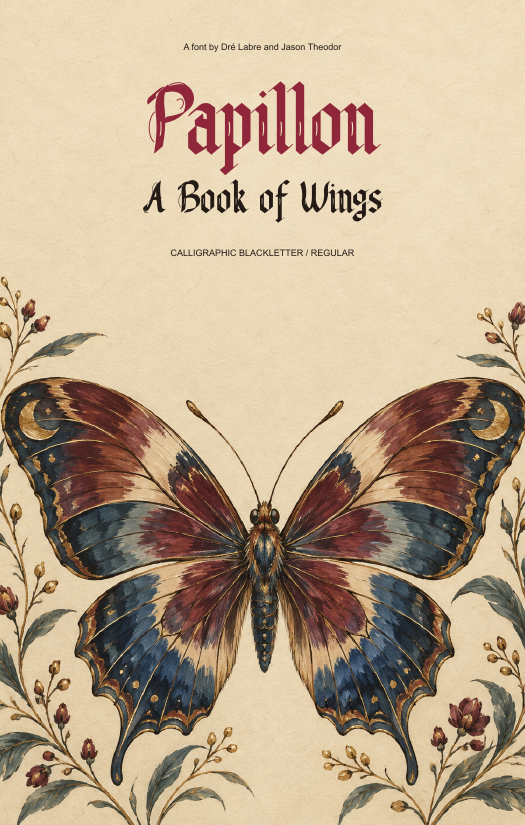 A Book of Wings zine cover
